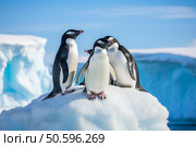 Chinstrap penguins standing on ice floe in antarctica. Стоковое AI-изображение, AI-художник Иван Рябоконь / Фотобанк Лори