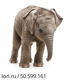 Baby elephant standing on white background looking down. Стоковое AI-изображение, AI-художник Иван Рябоконь / Фотобанк Лори