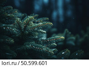 Fresh green pine tree branches covered with raindrops in a dark forest. Стоковое AI-изображение, AI-художник Иван Рябоконь / Фотобанк Лори