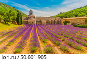 Abbey Senanque and Lavender field, France. Стоковое фото, фотограф Anastasy Yarmolovich / Фотобанк Лори