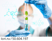 Scientist conducts research on plant cells in laboratory with focus on biotechnology and genetics. Стоковое фото, фотограф Климов Денис / Фотобанк Лори