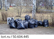 Пластиковые мешки с мусором (прошлогодней листвой). Екатеринбург, Парк имени Архипова (улица Академика Бардина) Редакционное фото, фотограф Алексей Иванов / Фотобанк Лори