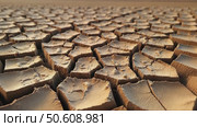 Detailed view of cracked, dry earth, showcasing the textured patterns of drought-affected soil. Concept of ecological disaster, negative human impact on environment. Стоковое AI-видео, аниматор Sergey Grishin / Фотобанк Лори