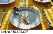 Empty dirty plates with spoon and forks on the table with a bright tablecloth, sunny summer day. Стоковое AI-видео, аниматор Sergey Grishin / Фотобанк Лори