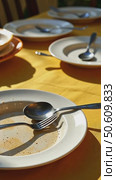 Empty dirty plates with spoon and forks on the table with a bright tablecloth, sunny summer day. Стоковое AI-видео, аниматор Sergey Grishin / Фотобанк Лори
