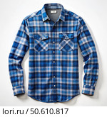 Stylish Blue Plaid Flannel Shirt for Men. Generative AI. Стоковое AI-изображение, AI-художник Roman Zavorotny / Фотобанк Лори