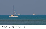 Sailing boat catamaran in the blue sea. Стоковое видео, видеограф Игорь Жоров / Фотобанк Лори