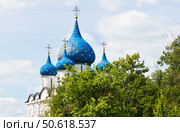 Купола собора Рождества Пресвятой Богородицы. Суздальский кремль. Город Суздаль. Золотое Кольцо. Россия. Редакционное фото, фотограф E. O. / Фотобанк Лори