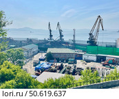Приморский край. Находка. Портальные краны на территории угольного терминала морского торгового порта. Редакционное фото, фотограф Овчинникова Ирина / Фотобанк Лори