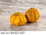 Decorative yelow pampkin seasonal vegetables. Стоковое фото, фотограф Андрей Старостин / Фотобанк Лори