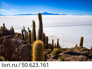 Explore the Stunning Beauty of Salar De Uyuni With Its Unique Cactus-Filled Landscape. Стоковое фото, фотограф Aleksandr Golubev / Фотобанк Лори