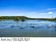 View of Iguazu Falls Surrounded by Lush Greenery and Clear Blue Skies on a Sunny Day. Стоковое фото, фотограф Aleksandr Golubev / Фотобанк Лори