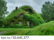 Green grass growing over cozy hobbit house with cloudy sky. Стоковое AI-изображение, AI-художник Иван Рябоконь / Фотобанк Лори