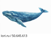 Large humpback whale swimming in the ocean depths watercolor painting. Стоковое AI-изображение, AI-художник Иван Рябоконь / Фотобанк Лори