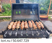 Шашлык. Мясо. Еда. Кухня. Стоковое фото, фотограф Владимир Зыбин / Фотобанк Лори