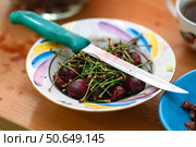 A plate filled with cherry pits, stems, and spoiled berries, with an old knife used for pitting cherries for jam. Стоковое фото, фотограф Татьяна Степанищева / Фотобанк Лори