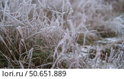 Frozen grass. Winter background, morning frost on the grass with copy space. Cold season, springtime. Mowed lawn covered with ice and hoarfrost. Green grass freezes with pieces of snow on the field. Стоковое видео, видеограф Марина Демидюк / Фотобанк Лори