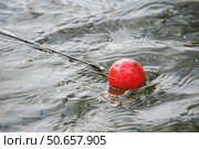 Red fishing float bobbing on rippling water. Стоковое AI-изображение, AI-художник Иван Рябоконь / Фотобанк Лори