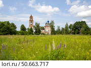 Церковь Рождества Пресвятой Богородицы, с. Шапкино, Ивановская область. Редакционное фото, фотограф Ирина Яровая / Фотобанк Лори
