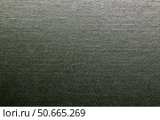 Green textured surface providing a detailed and consistent pattern. Стоковое фото, фотограф EugeneSergeev / Фотобанк Лори