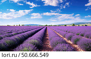 fields purple global ai generated. Стоковое AI-изображение, AI-художник Vectorwin / Фотобанк Лори