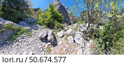 Mountain landscape in the Simeiz area, Crimea. In the foreground is a rocky path covered with large and medium pebbles, leading through randomly scattered boulders. Around the path is dense vegetation: bushes, young trees with bright greenery, climbers and grasses. On the right rises a picturesque cliff, partially shaded by the crown of trees. The high blue sky without clouds creates the feeling of a clear hot day. The wild Crimean nature appears in all its pristine beauty - an ideal place for hiking, solitude and meditation. Стоковое фото, фотограф Анна Кривицкая / Фотобанк Лори