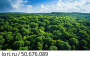phograph blue to green gradient ai generated. Стоковое AI-изображение, AI-художник Vectorwin / Фотобанк Лори