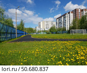Spring Zelenograd - school football field with dandelions in Moscow, Russia. Стоковое фото, фотограф Володина Ольга / Фотобанк Лори