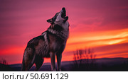 sunsilhouette gray wolves ai generated. Стоковое AI-изображение, AI-художник Vectorwin / Фотобанк Лори