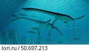 Three Plesiosaurus dinosaurs migrate with a school of fish. Стоковое фото, фотограф Corey Ford/Stocktrek Images / ТАСС / Фотобанк Лори