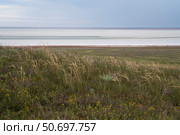 Steppe grasses on the slopes of Bolshoe Bogdo Mountain and the salt lake Baskunchak in the distance on a summer day, Bogdinsko-Baskunchak Nature Reserve, Akhtubinsky district, Astrakhan region, Russia. Стоковое фото, фотограф Ula Ulachka / Фотобанк Лори
