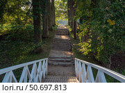 A humpback bridge over the pond "Under the shadow of dense Willows" and an alley in the Mikhailovskoye Estate of the Pushkin Museum-Reserve, Pushkinskiye Gory, Pskov Region, Russia. Стоковое фото, фотограф Ula Ulachka / Фотобанк Лори