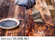 The procedure for protecting and coating wooden boards. A worker applies a protective wood stain with a brush. The process of restoring a hardwood flooring. Стоковое фото, фотограф Photojuli / Фотобанк Лори