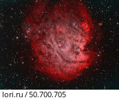 NGC 2174, the Monkey Head Nebula with IC 2159 nebulosity. Стоковое фото, фотограф Reinhold Wittich/Stocktrek Images / ТАСС / Фотобанк Лори