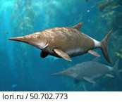 Brachypterygius is an extinct ichthyosaur from the Late Jurassic of England. Стоковое фото, фотограф Nobumichi Tamura/Stocktrek Images / ТАСС / Фотобанк Лори