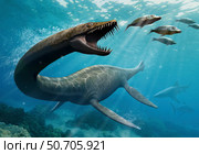 Thalassomedon, a genus of plesiosaur, fishing under the North America sea. Стоковое фото, фотограф Mohamad Haghani/Stocktrek Images / ТАСС / Фотобанк Лори