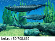 A pair of Xenacanthus sharks in Devonian seas. Стоковое фото, фотограф Corey Ford/Stocktrek Images / ТАСС / Фотобанк Лори