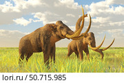 A pair of Columbian mammoths on a grassy plain during the Pleistocene epoch of North America (2024 год). Стоковое фото, фотограф Corey Ford/Stocktrek Images / ТАСС / Фотобанк Лори