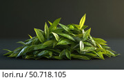 photo sencha tea leaves. Стоковое фото, фотограф Vectorwin / Фотобанк Лори