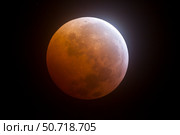 Lunar Eclipse Phillip Jones/Stocktrek Images. Стоковое фото, агентство ТАСС / Фотобанк Лори