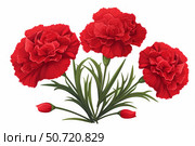 Red carnations blooming with green leaves on white background. Стоковое AI-изображение, AI-художник Иван Рябоконь / Фотобанк Лори