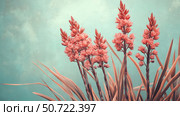 photo red yucca. Стоковое фото, фотограф Vectorwin / Фотобанк Лори