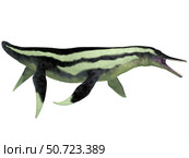 Dolichorhynchops marine reptile from the prehistoric era. Стоковое фото, фотограф Corey Ford/Stocktrek Images / ТАСС / Фотобанк Лори