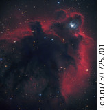 L1622, cometary globule in Orion. Стоковое фото, фотограф Robert Gendler/Stocktrek Images / ТАСС / Фотобанк Лори
