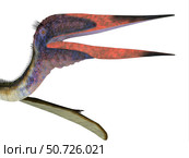 Zhejiangopterus pterosaur head, close-up. Стоковое фото, фотограф Corey Ford/Stocktrek Images / ТАСС / Фотобанк Лори