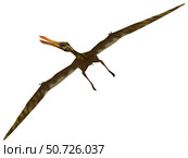 Anhanguera was a fish-eating pterosaur from the Cretaceous era of Brazil. Стоковое фото, фотограф Corey Ford/Stocktrek Images / ТАСС / Фотобанк Лори