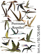 Poster of various flying pterosaur reptiles during the prehistoric age. Стоковое фото, фотограф Corey Ford/Stocktrek Images / ТАСС / Фотобанк Лори