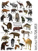 A collection of some of the better known mammals that lived during the Cenozoic Era. Стоковое фото, фотограф Corey Ford/Stocktrek Images / ТАСС / Фотобанк Лори