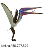 Zhejiangopterus pterosaur. Стоковое фото, фотограф Corey Ford/Stocktrek Images / ТАСС / Фотобанк Лори