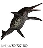 Shonisaurus, a prehistoric ichthyosaur from the Triassic period. Стоковое фото, фотограф Corey Ford/Stocktrek Images / ТАСС / Фотобанк Лори